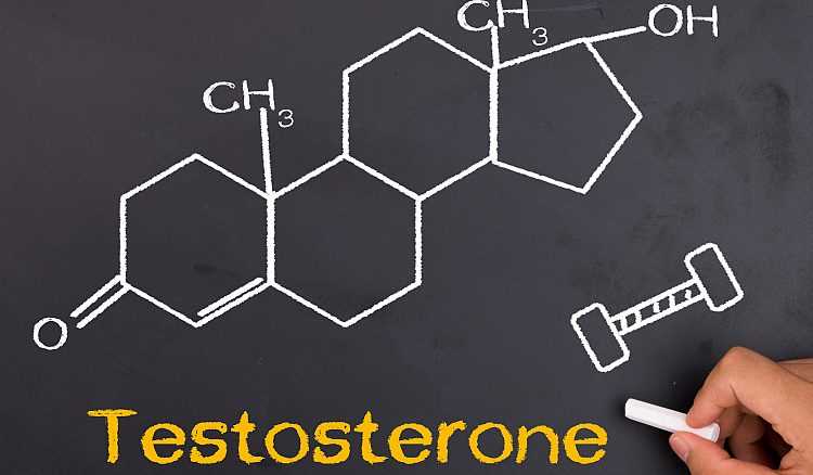 Testosterone chemical structure formula