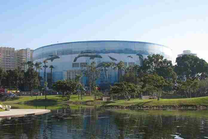 tsx pix 2019-404 long beach arena 750 (alanraywiki)