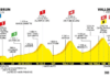 CYCLING: Trentin breaks away to win Tour de France stage 17, but the Alps loom tomorrow