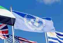 LANE ONE: Pathetic statement implies the United Nations is for transgenders in women’s sports; another U.N. expert said no in 2024!