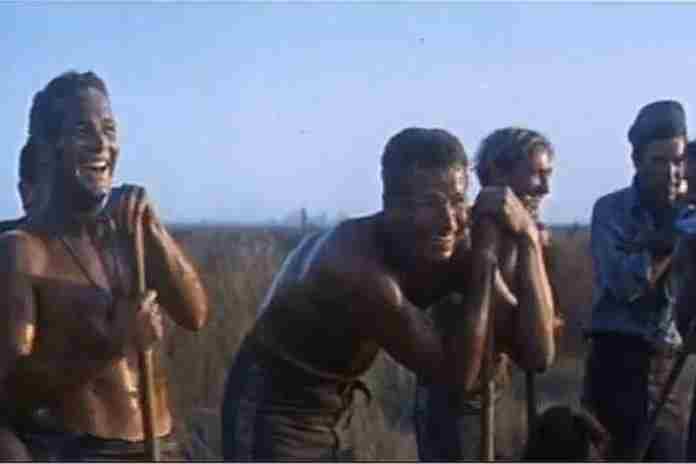 tsx pix 2021-519 cool hand luke 750 (wiki)